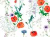 torchon_mille-coquelicots_floraison